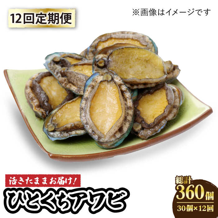 【ふるさと納税】【全12回定期便】【活きたままお届け！】 上五島産 養殖 ひとくち アワビ 厳選 30個【豊建設株式会社】 [RAE011]