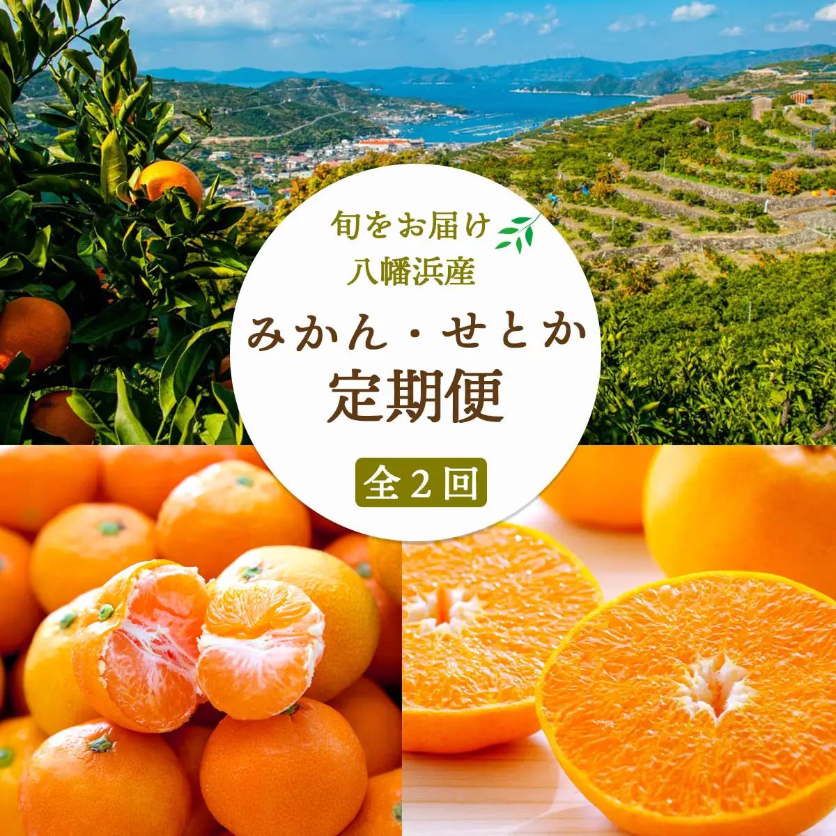 【発送月固定定期便】愛媛みかん小玉6kg(訳)×せとか3kg(訳)【G25-273】全2回【4071217】 YWTAP214