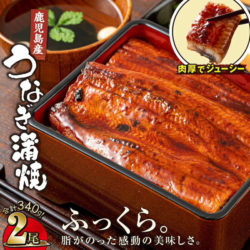 清らかな地下水育ち！鹿児島産うなぎ【大】2尾 340g［170g×2尾］真空パックでお届け！ 鰻丼やひつまぶしにも！ 【財宝】