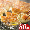 【ふるさと納税】美ら島あぐー餃子 80個セット 20個入×4パック 絶品 こだわり 豚 肉 国産 ごはん おかず お弁当 冷凍 ぎょうざ ギョウザ 小分け BBQ ギョーザ 惣菜 晩酌 ギフト 手作り 生餃子 豚肉 冷凍食品 おつまみ 冷凍餃子 ブランド豚 総菜 中華 焼き餃子 送料無料