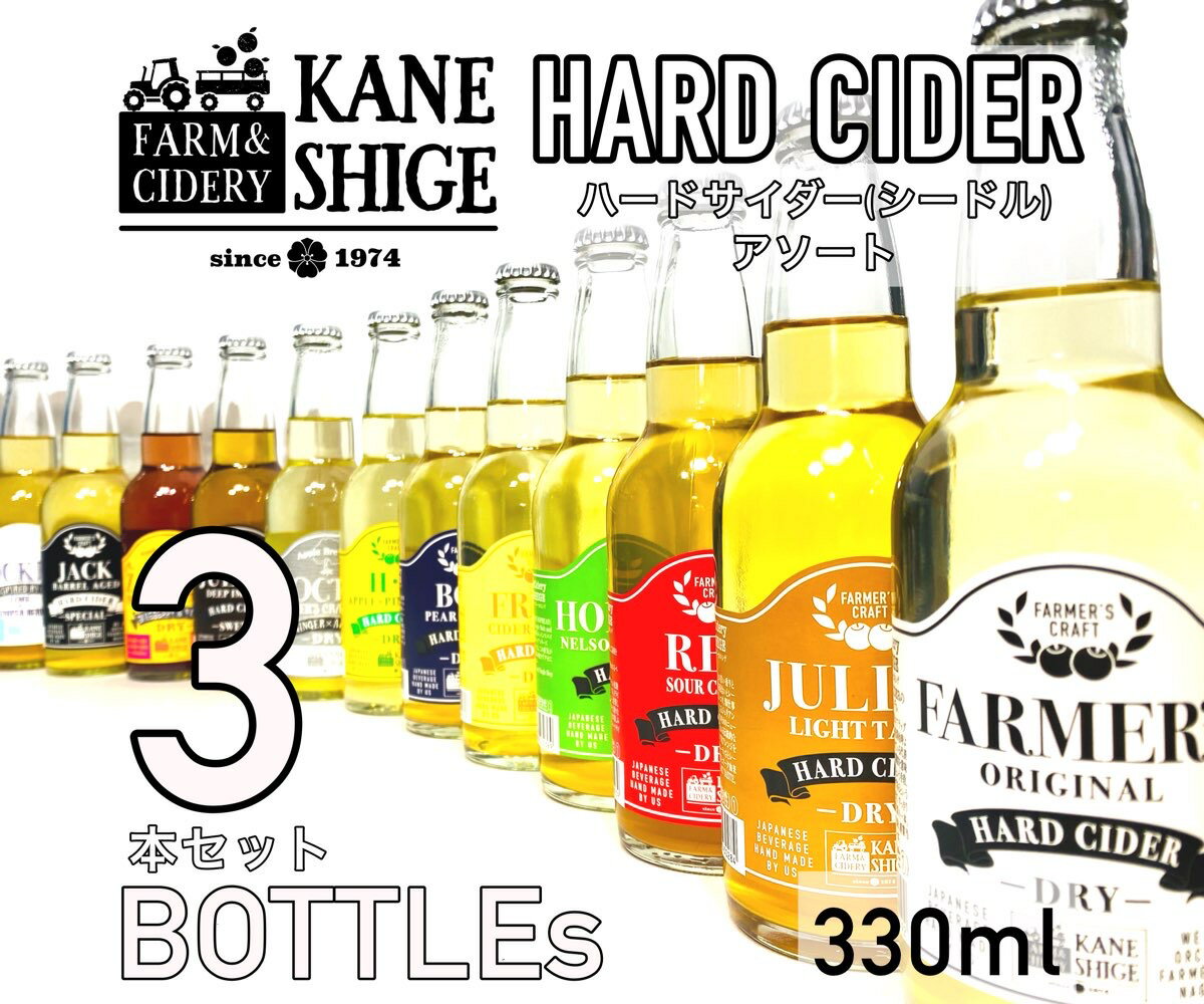 【ふるさと納税】南信州産りんごを使ったハードサイダー(シードル）アソート330ml×3本セット
