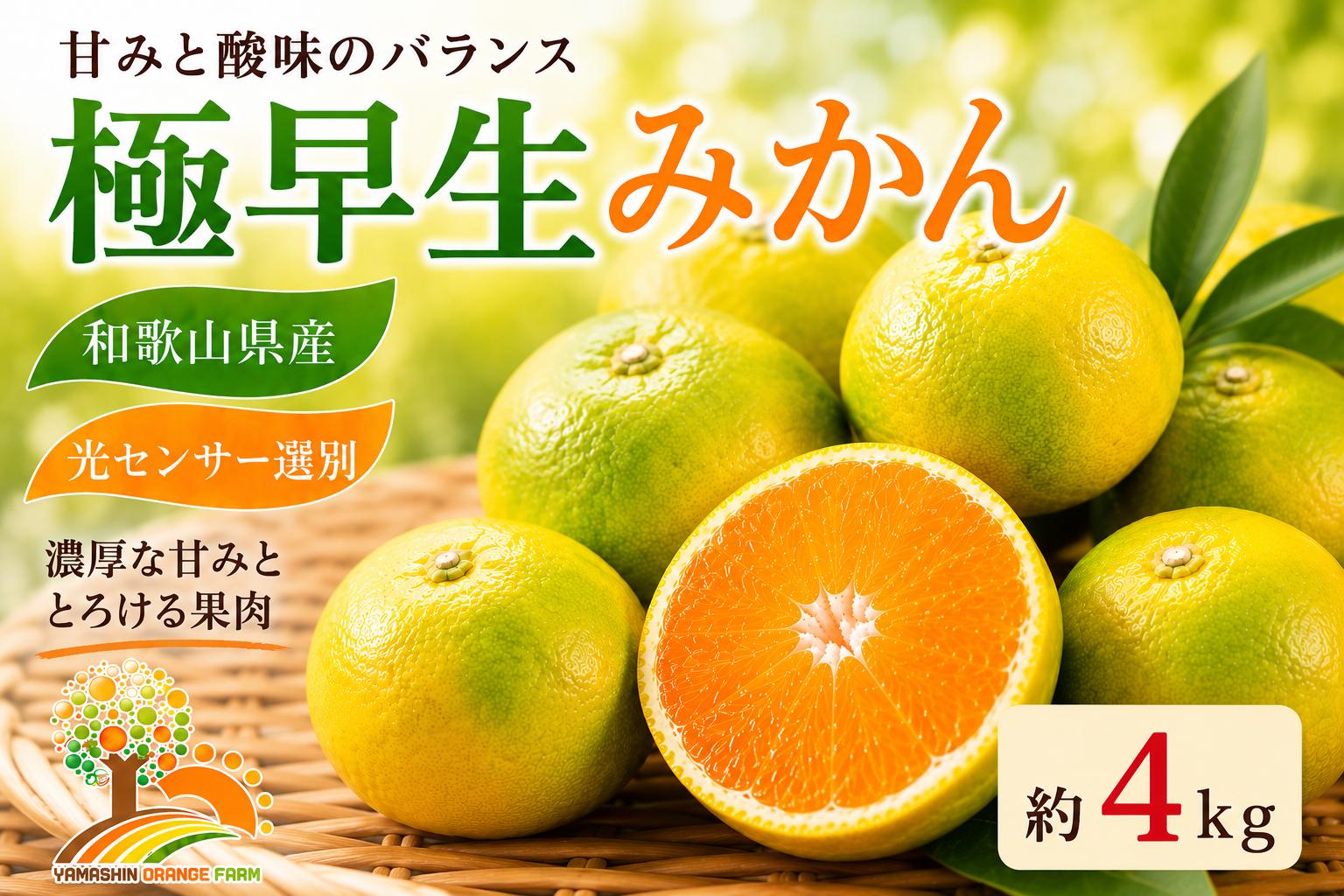 
            こだわりの極早生みかん 約4kg 農家直送 有機質肥料100% サイズ混合 ｜ みかん 極早生 早生 柑橘 果物 くだもの 果実 フルーツ 和歌山 有田 ※北海道・沖縄・離島への配送不可 ※2025年9月下旬～10月中旬頃に順次発送予定
          