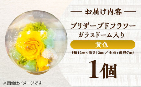 プリザーブドフラワー　ガラスドーム (黄色) / 花 プレゼント 贈答用 ガラス 母の日 父の日 入学式 卒業式 菊陽町 熊本県【株式会社 美向】[BHDC003]