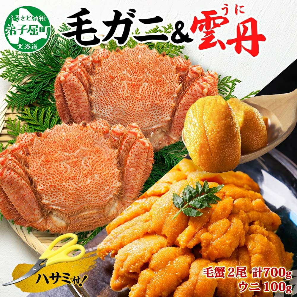 【ふるさと納税】3418. 毛蟹 2尾 計700g前後 うに 100g 専用ハサミ・食べ方ガイド付き 毛ガニ 毛がに 蟹 カニ かに 蟹肉 カニ味噌 ウニ チリ産 冷凍 雲丹 海鮮 ボイル キャンプ飯 バーベキュー BBQ 送料無料 北海道 弟子屈町