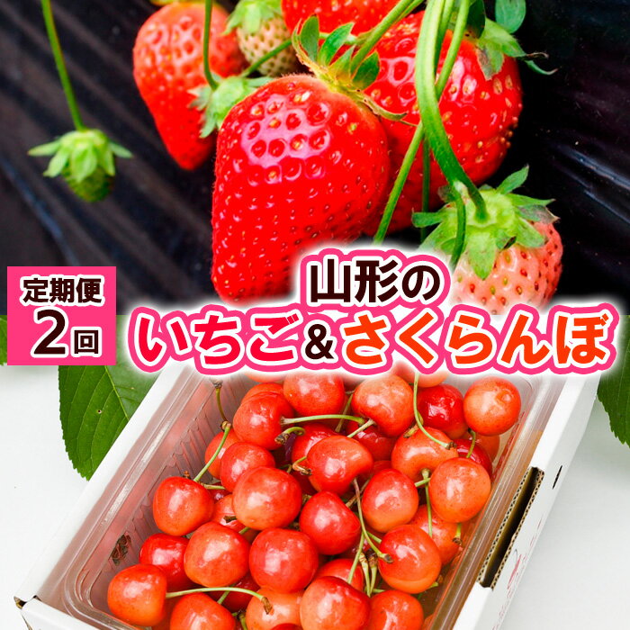 【ふるさと納税】【定期便2回】山形の いちご&さくらんぼ 【令和7年産先行予約】FS24-521 くだもの 果物 フルーツ 山形 山形県 山形市 お取り寄せ 2025年産