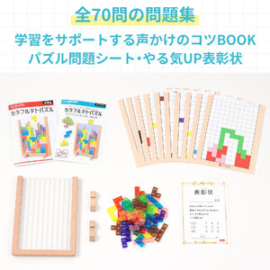 A356　ArtecMiraTOY　カラフルテトパズル