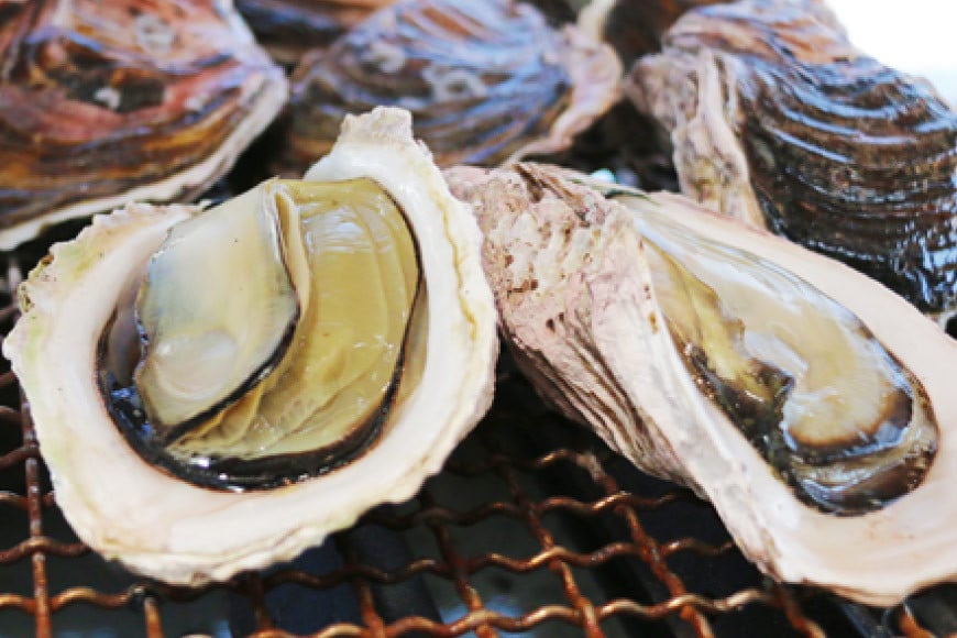 岩牡蠣 殻付き 細島 岩ガキ 約2kg 日向特産 へべす 200ｇ セット [道の駅日向 宮崎県 日向市 452060567] いわがき 岩がき 牡蠣 日豊海岸 濃厚 クリーミー