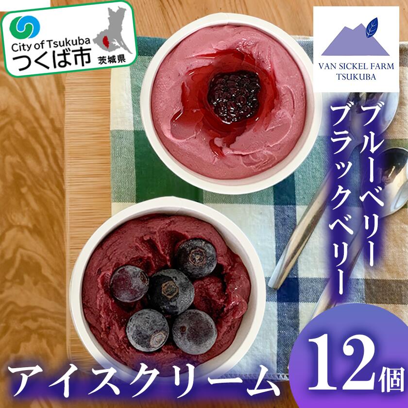 【ふるさと納税】【茨城県つくば市産ブルーベリー使用】フローズンヨーグルトアイスセット（12個） | 茨城県 つくば市 ブルーベリー 国産 ベリー スイーツ アイス ジェラート ヨーグルト 果物