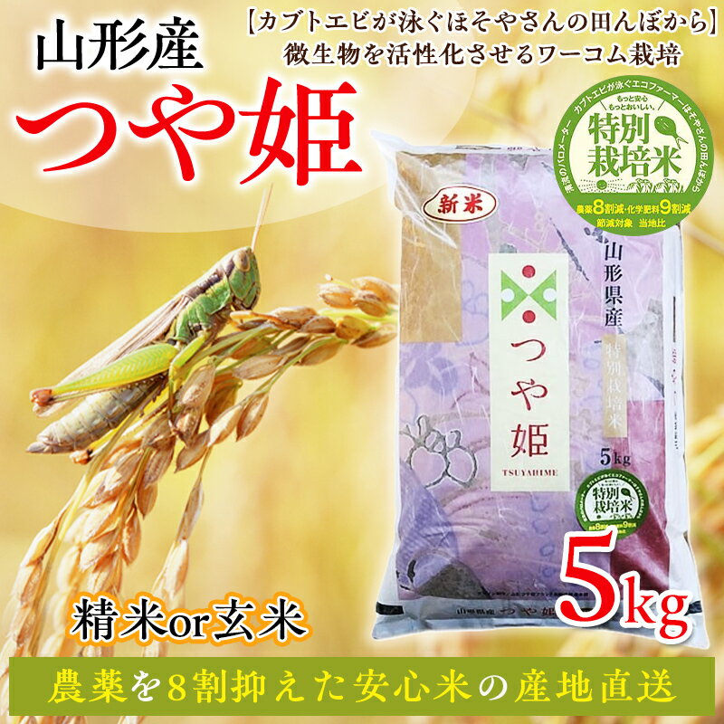 【ふるさと納税】令和6年度産 山形産 「つや姫」5kg 特別栽培米 8割減農薬・9割減化学肥料（当地比）【カブトエビが泳ぐほそやさんの田んぼから】微生物を活性化させるワーコム栽培 FY25-096