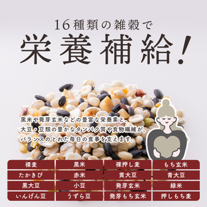 【 ご飯パック 】 金賞 健康米 十六雑穀米 120g×60個入り ご飯パック