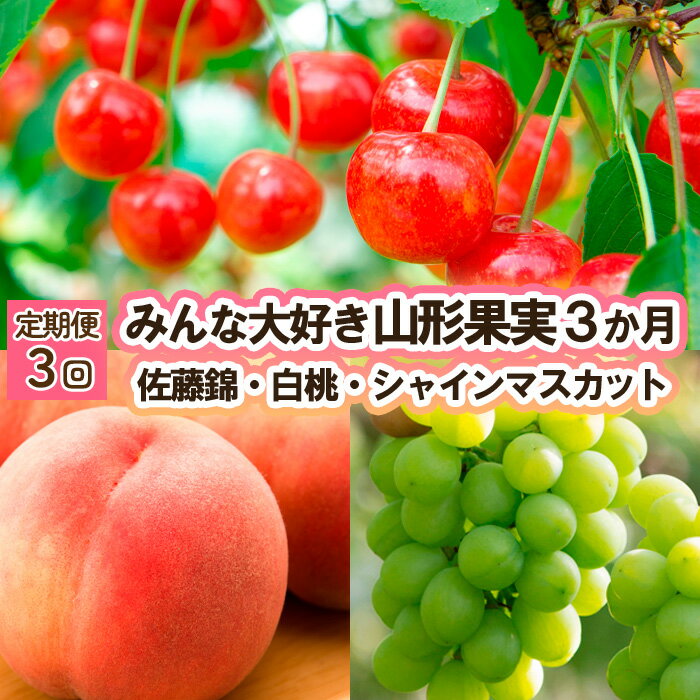 【ふるさと納税】【定期便3回】みんな大好き山形果実 (佐藤錦、白桃、シャインマスカット) 【令和7年産先行予約】FU23-342くだもの 果物 フルーツ 山形 山形県 山形市 お取り寄せ 2025年産