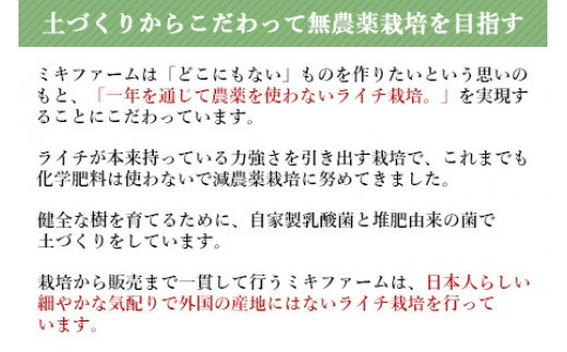 ＜宮崎県産 生ライチ 500g＞