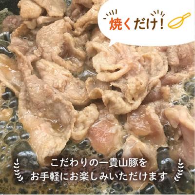 ふるさと納税 糸島市 【全6回定期便】焼くだけ定番おかず!一貴山豚 生姜焼き 4パック/ いきさん牧場 [AGB017] |  | 02