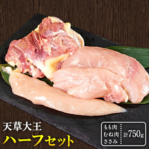 【ふるさと納税】天草大王 もも・むね・ささみセット 750g 【配送不可地域：離島】 あそ大王ファーム株式会社《60日以内に出荷予定(土日祝除く)》熊本 産山 鶏 鶏肉 セット