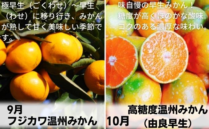 【9回頒布会】フジカワ果樹園オリジナル・新季節の柑橘セ