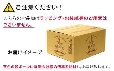 THE軽井沢ビール　10種10缶　飲み比べ　ギフトセット　4カ月定期便