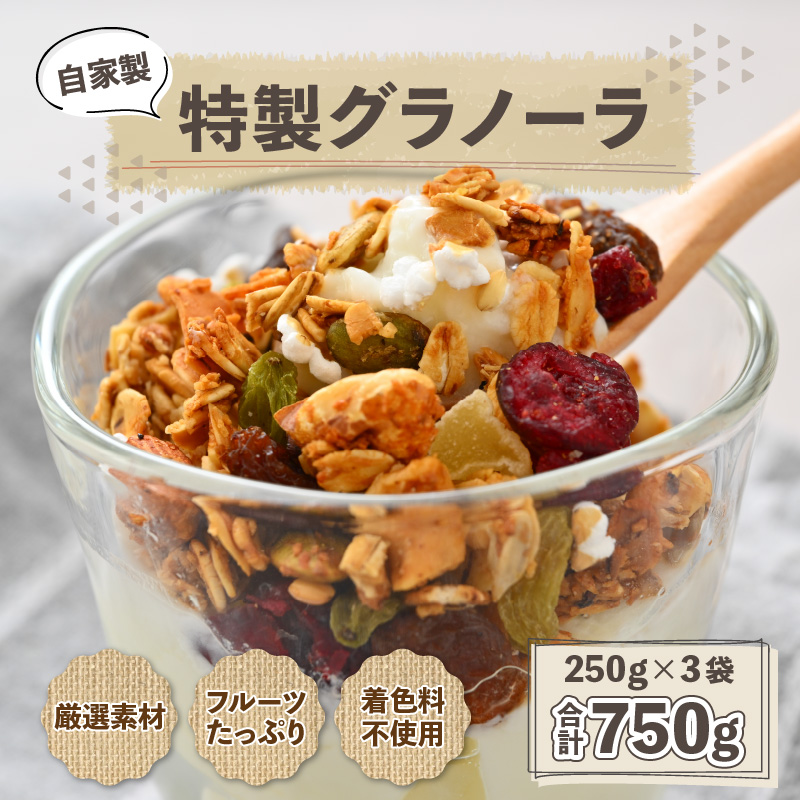 自家製 フルーツグラノーラ 250g×3袋（計750g）《配合や素材にこだわり1つ1つ手作り！》／ 着色料不使用 オーガニック 果物 ドライフルーツ オートミール ヨーグルト 牛乳