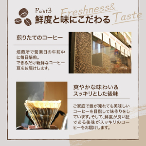 【 ダブル焙煎 】 エチオピアモカ  480ｇ（160g×3袋）〔 中挽きタイプ 〕 