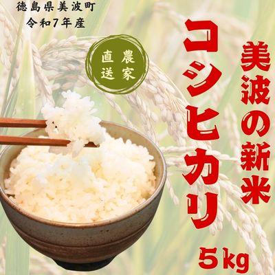 ふるさと納税 美波町 【令和7年産】徳島県海部郡美波町産コシヒカリ100% 精米5kg