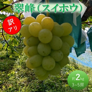 ぶどう 翠峰 訳あり 岡山県産 ぶどう【約2kg 3～5房】【先行予約】