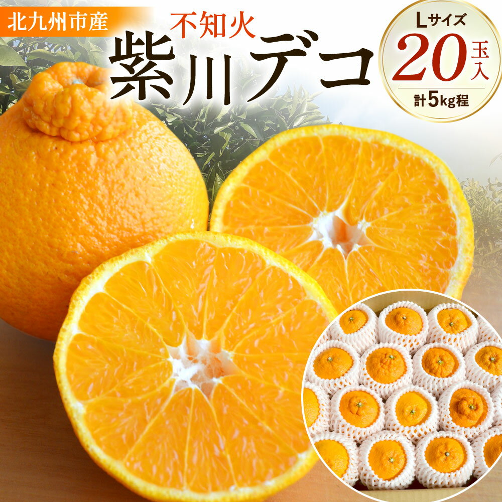 【ふるさと納税】紫川デコ ( 不知火 ) Lサイズ 20玉入 計5kg程 フルーツキャップ付き フルーツ みかん 柑橘 しらぬい ミカン 蜜柑 ジューシー 旬 新鮮 季節 福岡県 北九州市 予約 【2026年3月上旬～2026年3月下旬発送予定】