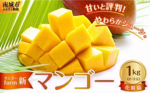 【マンゴーfarm新】 沖縄県南城市産マンゴー化粧箱1kg