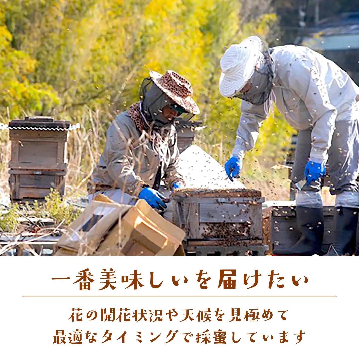 東濃のはちみつレモン　1000ml×2  【下石ファーム】 蜂蜜 健康 美容[MAB015]