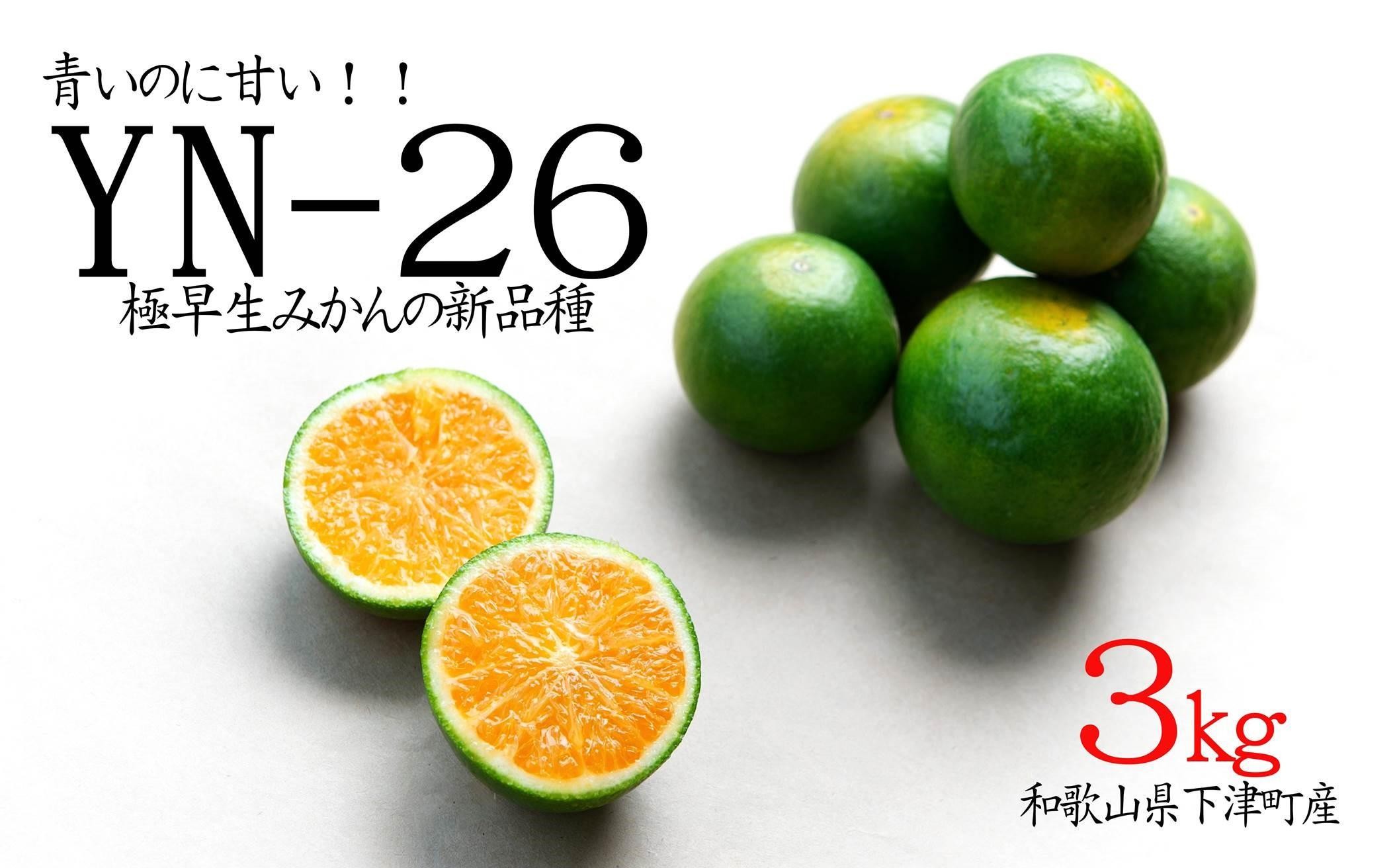 
                  極早生みかん 約3kg 2S・S・Mサイズ 和歌山県海南市産 農園直送 まごころ産直みかん 【9月より順次発送】【北海道・沖縄県・一部離島 配送不可】YN26 ゆら早生 和歌山 ミカン 蜜柑 果物 フルーツ 贈答用 少量サイズ 厳選［Mg33］
                