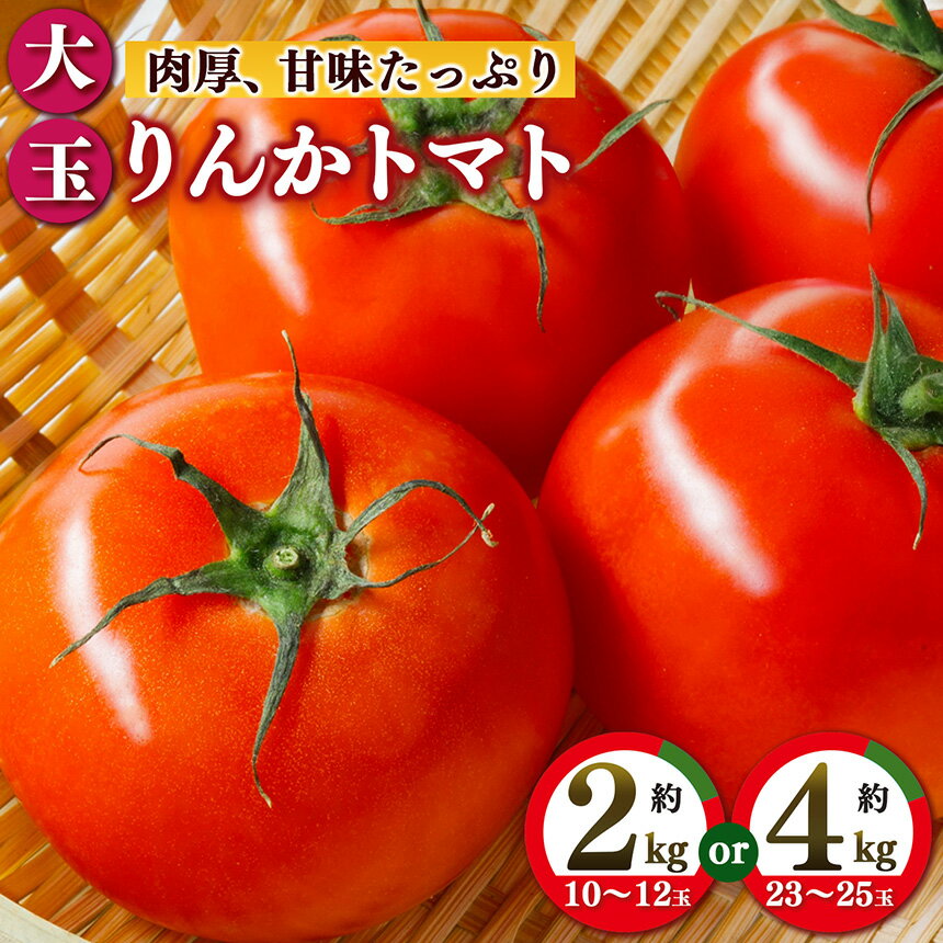 【ふるさと納税】トマト 約2～4kg 10玉～25玉 | ヤサイ 野菜 やさい トマト とまと 野菜 奈良県 五條市