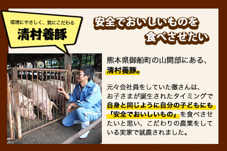 バラしゃぶしゃぶ 600g 清村養豚《60日以内に出荷予定(土日祝除く)》肉 豚 豚肉