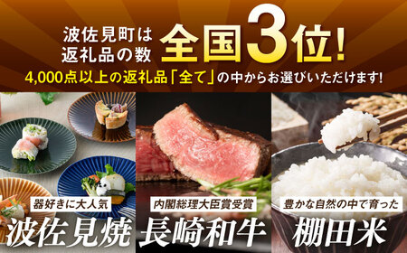 【あとから選べる】波佐見町ふるさとギフト 100万円分 波佐見焼 和牛 米 年内発送 年内配送 [FB85] あとから寄附 お任せ 返礼品 あとから選べる あとから選べるギフト あとからセレクト 選べ