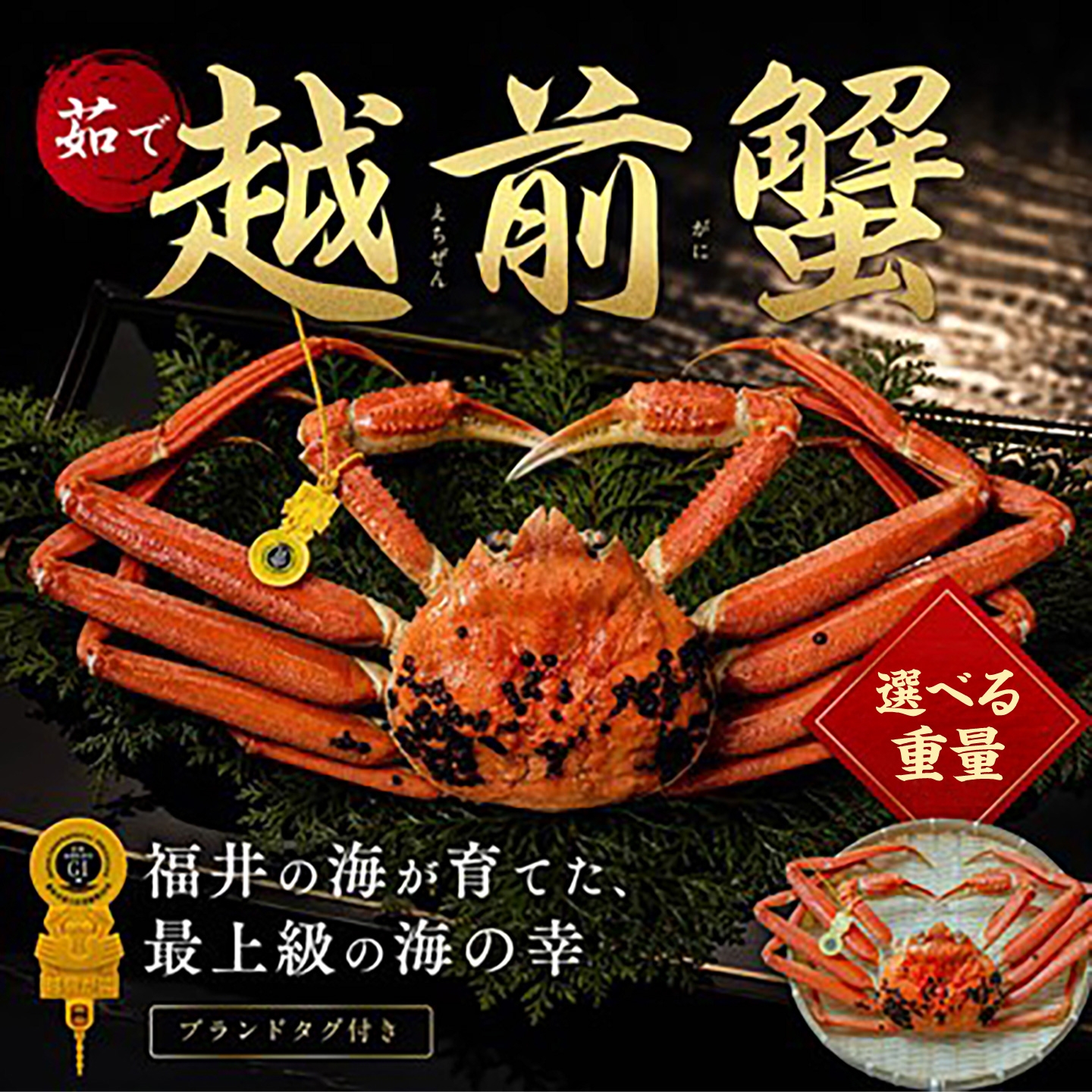 
                  【先行予約/11月18日より順次配送】越前がに 1.2kg×1杯 茹で 福井県産ズワイガニ / かに カニ 蟹 越前ガニ ズワイガニ ボイル / 小浜市 / 一進わかさ【配送不可地域：北海道・沖縄・離島】 [BFES013]
                