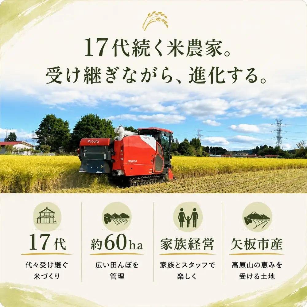 【令和８年産 新米】矢板市特別栽培米 お米 訳あり こしひかり 白米 5kg |栃木県 矢板市