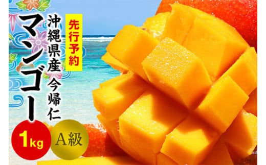 今帰仁マンゴーA級１kg以上【先行予約】【2026年6月中旬～8月中旬頃発送】生産者直送
