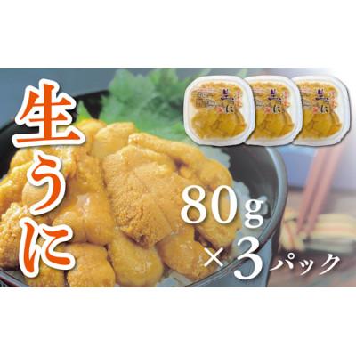 ふるさと納税 洋野町 【令和8年発送】【水揚げしたその日に出荷】生うに 80g×3パック