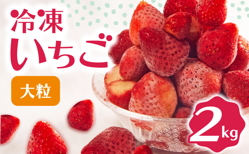 
            冷凍 いちご 2kg 完熟 ヘタ取り 大粒 イチゴ 苺 冷凍いちご 果物 スイーツ デザート フルーツ アイス ジャム シャーベット ベリー 氷菓  甘い オススメ 人気 滋賀県 竜王町 ひさだ苺農園
          