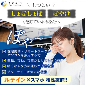 ひとみの恵ルテイン66 90粒 2個セット(60日分) | ルテイン ひとみの恵 目 健康 サプリ サプリメント 健康機能食品 サポート アイケア ファイン 兵庫県 上郡町