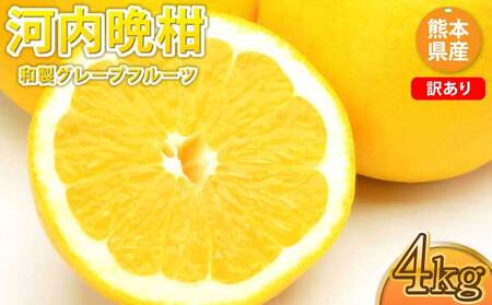 先行予約  訳あり 河内晩柑 ジューシーオレンジ 約4kg   2027年3月下旬から2027年7月下旬発送予定