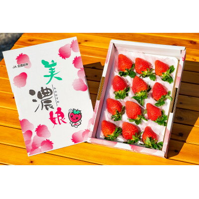 【ふるさと納税】岐阜いちご　美濃娘　330g×2パック【配送不可地域：離島】【1452930】
