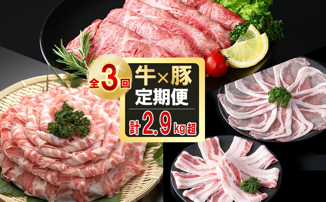 
                  【定期便全3回】贅沢！国産黒毛和牛・豚肉定期便(3ヶ月連続・総量2.9kg以上) 黒毛和牛 国産牛 九州産 黒豚 豚 豚肉 肉 牛 牛肉 国産 しゃぶしゃぶ すき焼き 豚バラ バラ ロース 人気 A4等級 小分け 真空包装 t0041-004
                