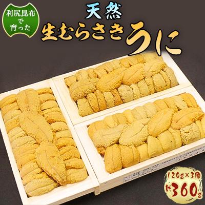 ふるさと納税 稚内市 利尻昆布を食べておいしく育った「生むらさきうに」360g