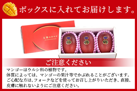 数量限定【2026年発送】＜宮崎県産 太陽のタマゴ A等級 2Lサイズ×3玉（合計約1kg）＞2026年4月上旬～6月末迄に順次出荷【 果物 くだもの フルーツ 太陽のタマゴ 太陽のたまご 完熟マンゴ