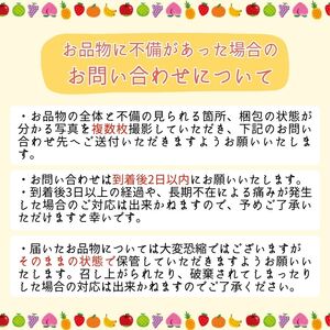 2026年先行予約 贈答用 信州産 葡萄【詰み合わせ】３房【シャインマスカット、ナガノパープル、クインルージュ®】｜ フルーツ ふるーつ 果物 甘い シャインマスカット 葡萄 ぶどう ナガノパープル 