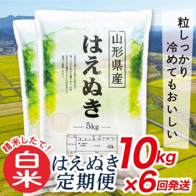 ふるさと納税 最上町 【発送月固定定期便】買い忘れなしで美味しいはえぬき10kg(白米)が届く全6回