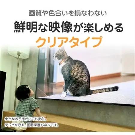 大阪府和泉市　TGCL-49　49インチ用　テレビ画面保護パネル　クリアタイプ　テレビガード【1669369】