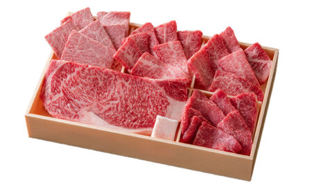 佐賀県産牛 焼肉セット550g（5種） / 佐賀県 / 一般社団法人 龍乃[41ANAC091]