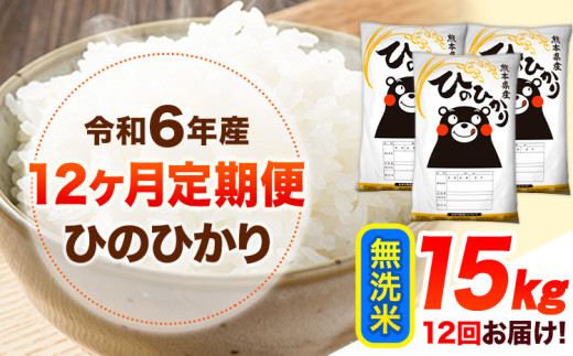 令和6年産 【12ヶ月定期便】 無洗米 ひのひかり 15kg 《お申し込み月の翌月から出荷開始》 熊本県産 無洗米 精米 ひの 送料無料 熊本県 山江村 SDGs 米 コメ こめ 国産