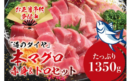 本マグロ（養殖）トロ＆赤身セット 1350g 【年末発送（12月25日～29日発送）】【配達日指定不可】高級 クロマグロ  中トロ 中とろ まぐろ マグロ 鮪 刺身 赤身 柵 じゃばらまぐろ 本マグロ 本鮪 年内配送 年内発送 お正月 正月【nks111B-sg】