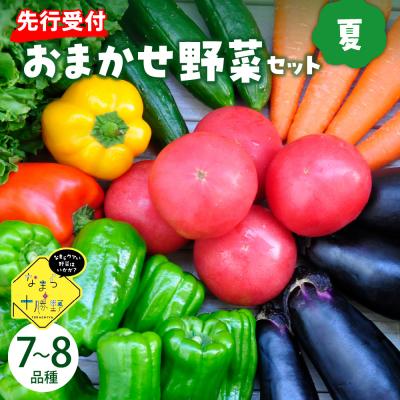 ふるさと納税 芽室町 【2026年8月より発送】芽室町 なまら十勝野の季節のおまかせ野菜セット(夏) me001-009c | 