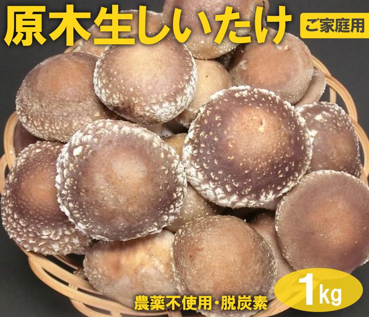 【ふるさと納税】原木生しいたけ 1kg 厚肉品 ご家庭用 贈答用 農薬不使用 脱炭素 ※離島への配送不可 _DR03